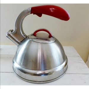 Stainless steel tea kettle